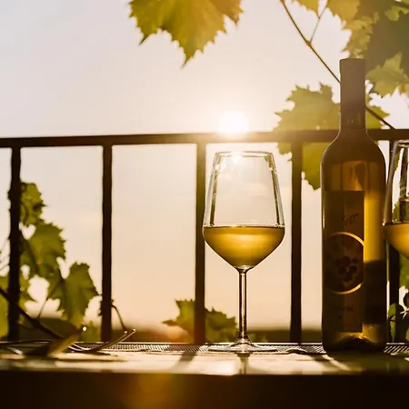 Farm stay Hisa Stekar *