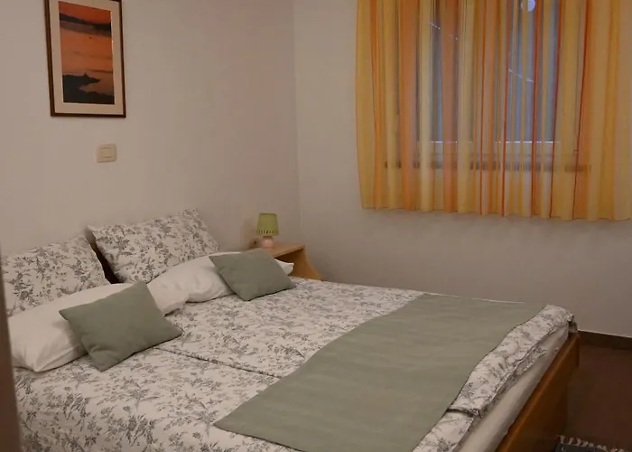 Hisa Stekar * Kojsko